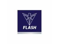 Flash client logo