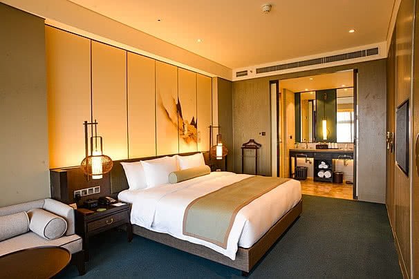 Hotels industry